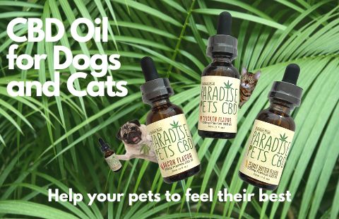 Paradise Valley Products CBD Oil for Dogs and CBD oil for Cats Blog. Buy CBD for pets online.