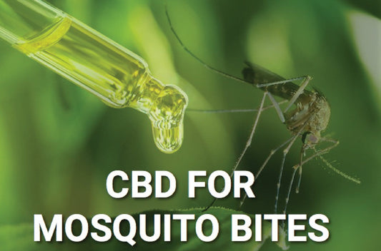 Paradise Valley Products CBD Topical Creams for Mosquito Bites Blog
