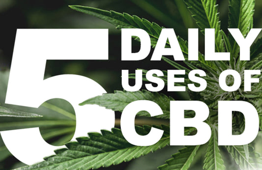 Paradise Valley Products Top 5 Reasons to take Paradise Valley CBD Oil Products Everyday Blog