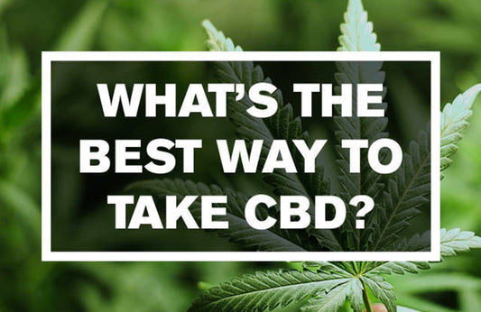 Best Way to Take Paradise Valley Products CBD Oil Blog